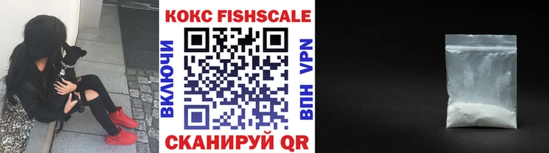 купить наркоту  Снежногорск  Кокаин Fish Scale 