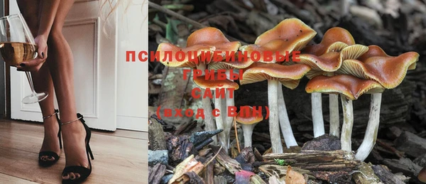 MDMA Premium VHQ Алексеевка