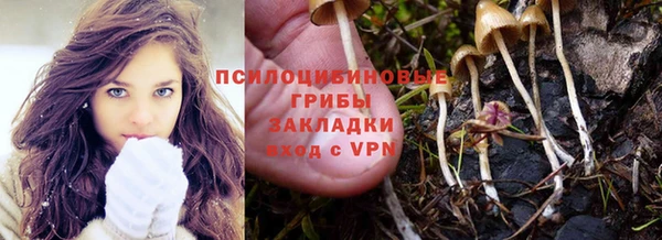 дурь Алексин